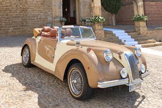 Royal Wedding - 5