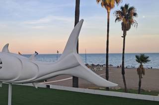 Hotel Pez Espada - 9