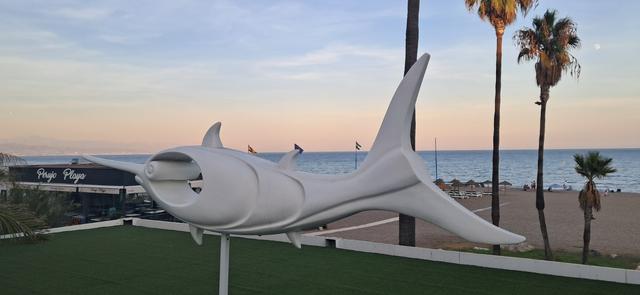 Hotel Pez Espada - 4