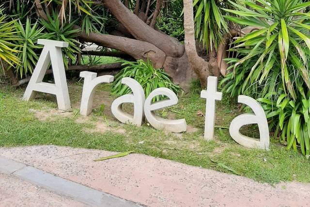 Araeta 1
