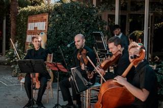 String Strad 3
