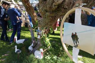 Boda Paradiso - 7