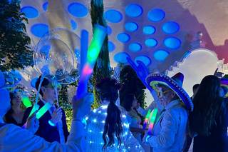 Wedding Festival - 9