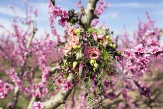 Treinta y uno foto y cine - 8