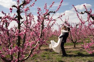 Treinta y uno foto y cine - 10