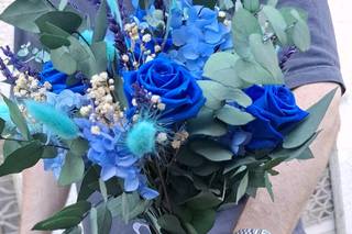 Lliri Blau - 6