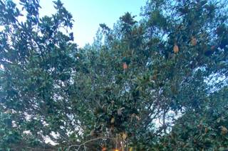 La Mer Hotel & Events - 8