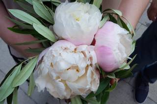 Airam Flors - 20