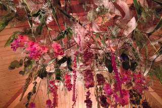 Aràlia Flors - 24