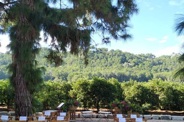 La Prensa de la Valldigna by Jucais Catering 1