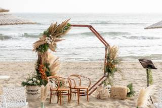 Melissa Belmonte Films - 14