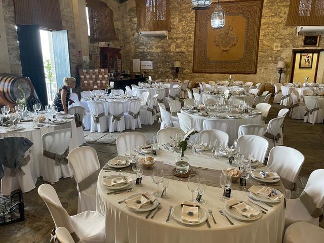 Bodegas Álvaro Domecq - 3