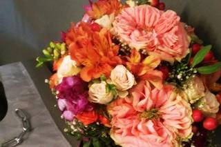 Aràlia Flors - 22