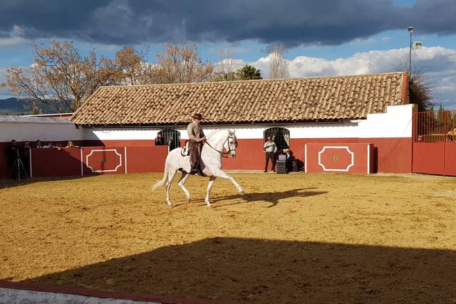 Cortijo El Alamillo 3
