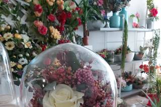 La Orquídea - 8