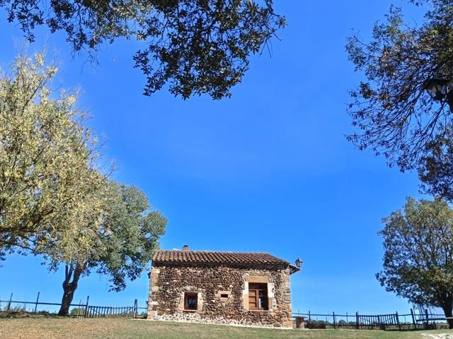 Castell de Cartellá - 4