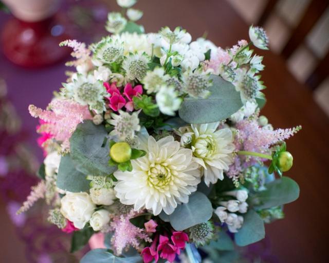 Junco Floristas - 1