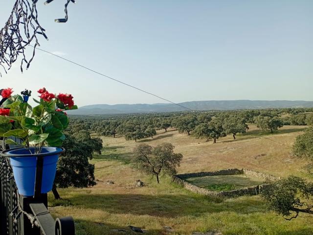 Complejo Rural Obejuelo Balcón de los Pedroches - 4