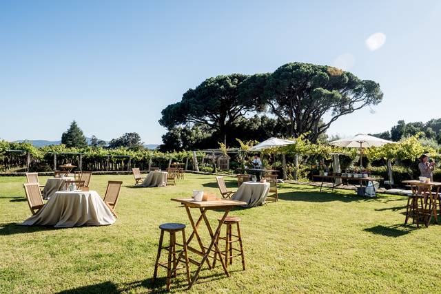 Gloria Domecq Catering 3