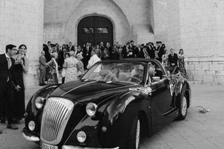 Chic Cars - 6
