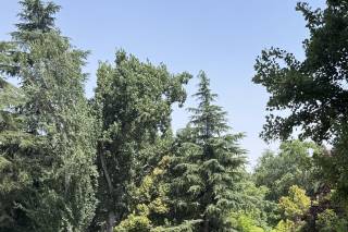 Eurostars Monte Real - 8
