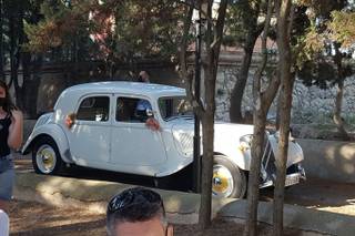Pitcar - 6