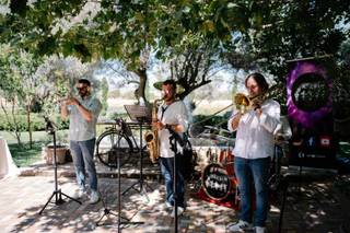 Peckin Brass - 5