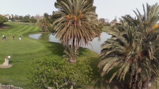Oliva Nova Beach & Golf Resort - 4