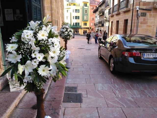 La Flor de Cervantes - 4
