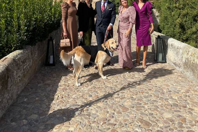 Castillo del Buen Amor 5