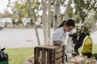 El Laurel de Elena y Lola - 5