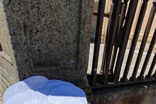 La Variopinta - 7