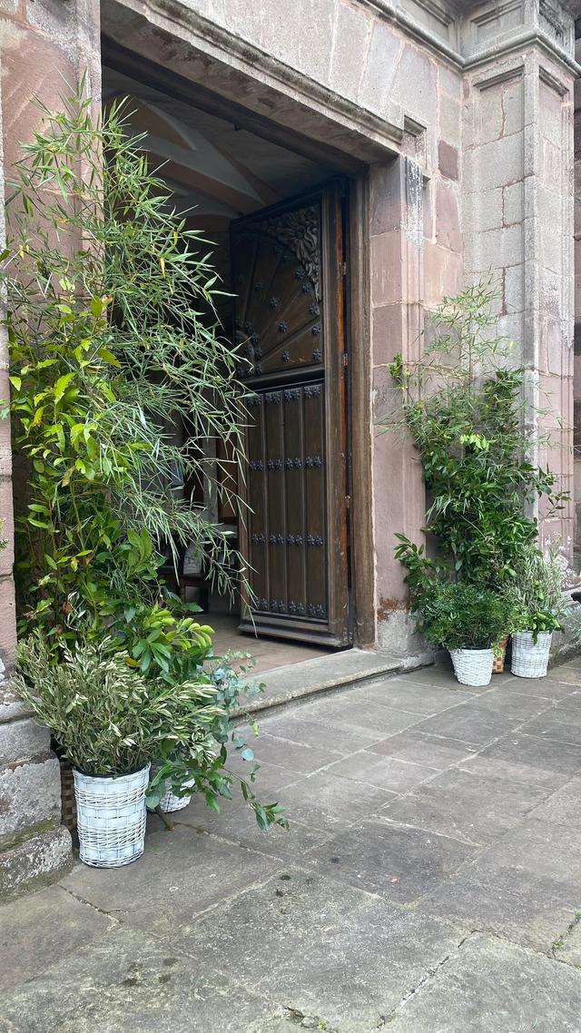 Semilla Eventos - 4