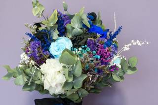 Gloxinia - 7