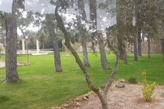 Las Albardillas del Real - 10