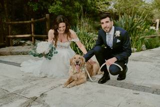 Fur-ever after - Cuidadora de mascotas - 9