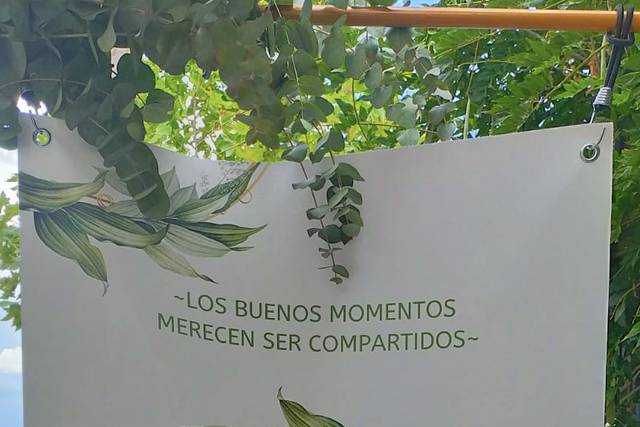 Flores y Plantas Saray 4