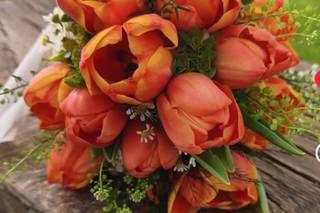 Tallo Floristas - 5