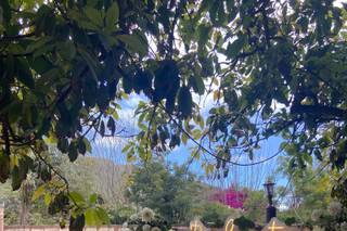 Floristería Tegueste - 11