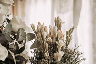 Floristería La Favorita - 5
