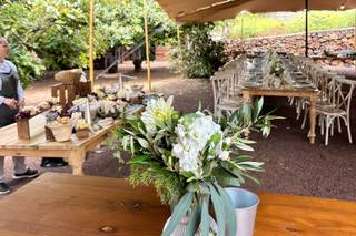 Floristería Tegueste - 12