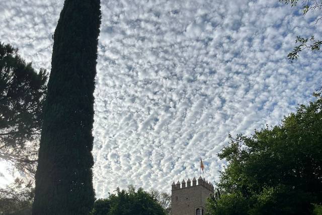 Cortijo Palacio Los Montes 1