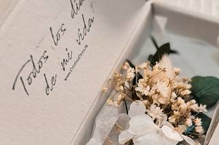 Aleva Films - 14
