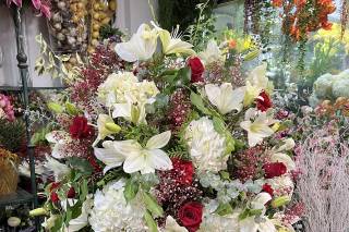 Floristería San Lorenzo - 17