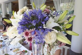 Adaya Eventos - 16