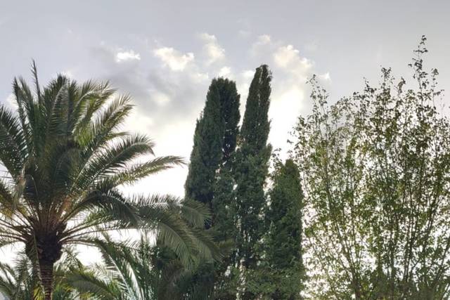 Hacienda Las Yeguas 4