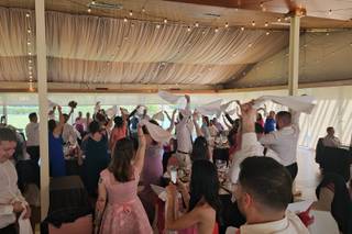 El Jardí de les Palmeres - 19