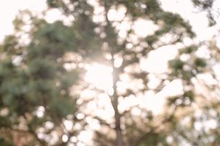 Yoav Franco Photography - 9