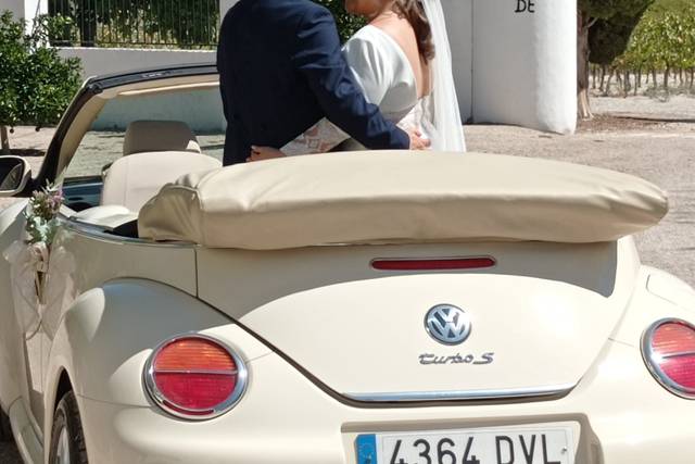 Beetle Love Bodas 1