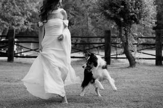 Alessandro Piolanti Photography - 13